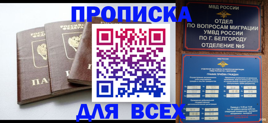 прописка в Шебекино